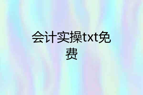 会计实操txt免费