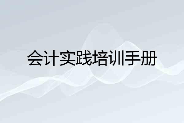 会计实践培训手册