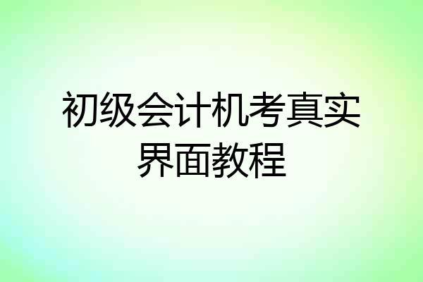 初级会计机考真实界面教程