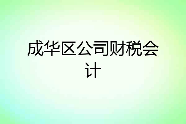 成华区公司财税会计
