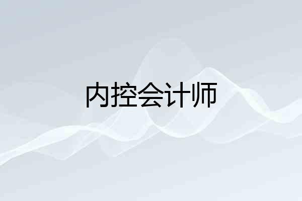 内控会计师
