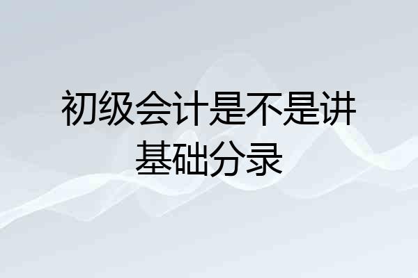 初级会计是不是讲基础分录