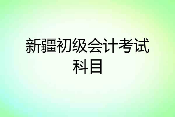 新疆初级会计考试科目