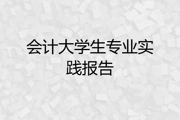 会计大学生专业实践报告