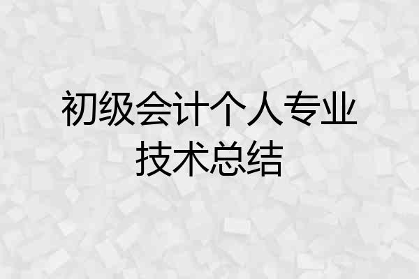 初级会计个人专业技术总结
