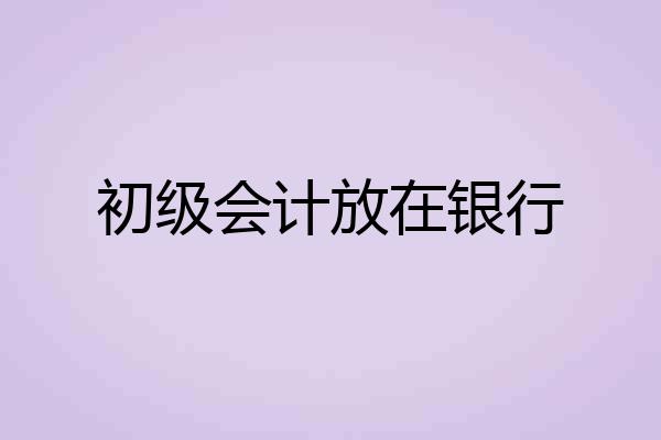 初级会计放在银行