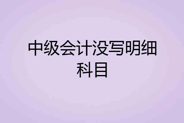 中级会计没写明细科目