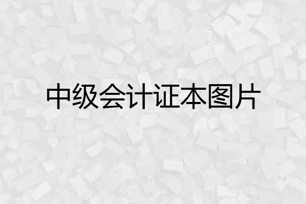 中级会计证本图片