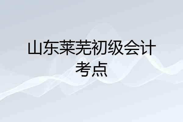 山东莱芜初级会计考点