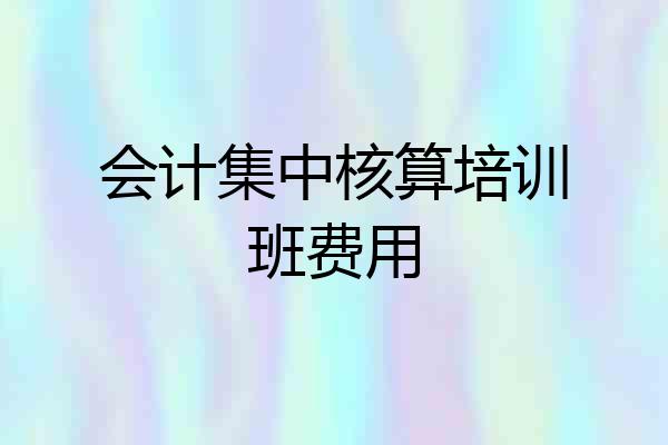 会计集中核算培训班费用