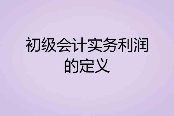 初级会计实务利润的定义