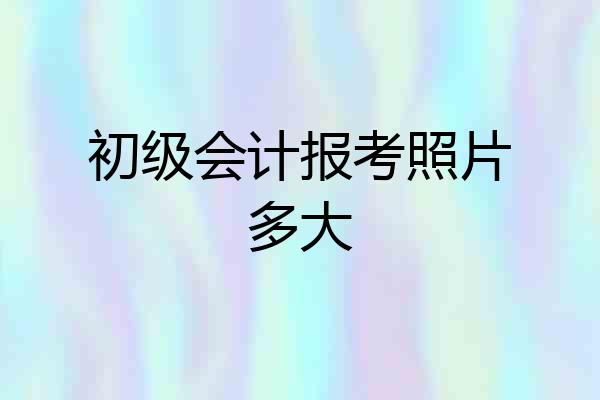 初级会计报考照片多大