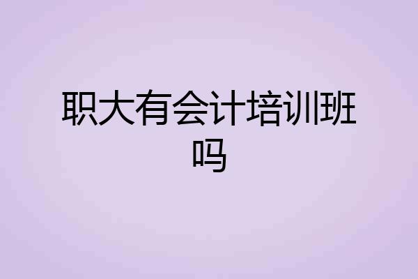 职大有会计培训班吗