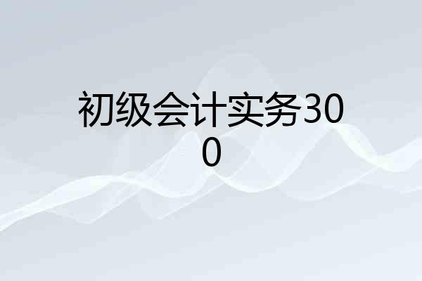 初级会计实务300