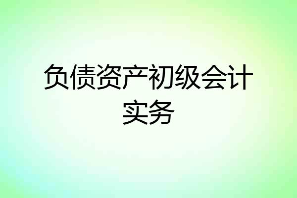 负债资产初级会计实务