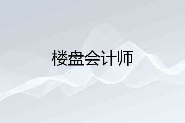 楼盘会计师