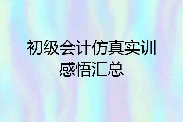 初级会计仿真实训感悟汇总