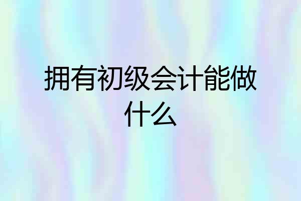 拥有初级会计能做什么