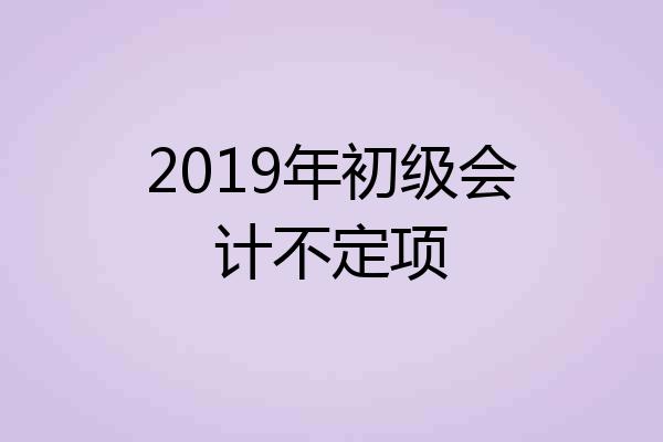 2019年初级会计不定项