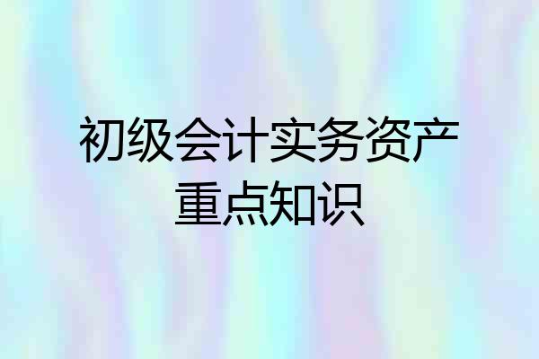 初级会计实务资产重点知识
