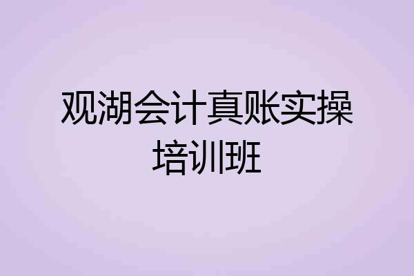 观湖会计真账实操培训班