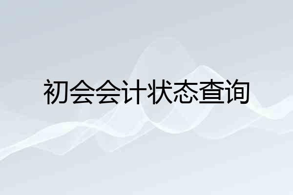 初会会计状态查询