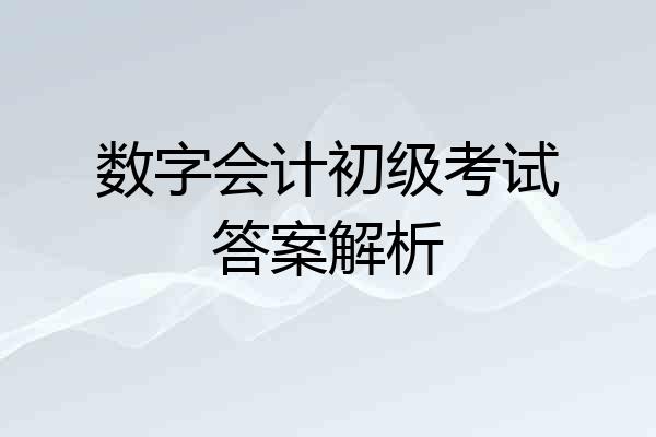 数字会计初级考试答案解析