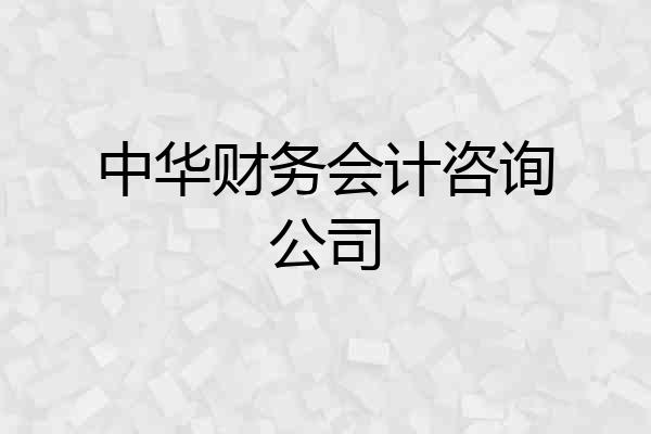 中华财务会计咨询公司