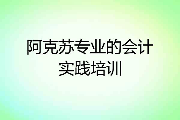 阿克苏专业的会计实践培训