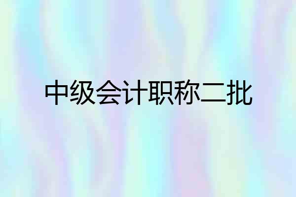 中级会计职称二批