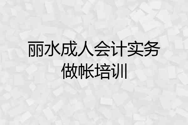 丽水成人会计实务做帐培训