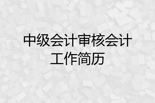 中级会计审核会计工作简历