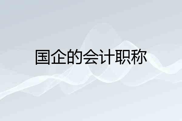 国企的会计职称