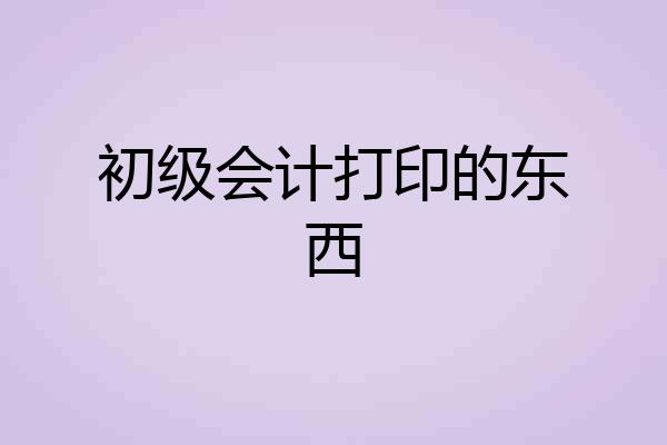 初级会计打印的东西