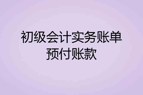 初级会计实务账单预付账款