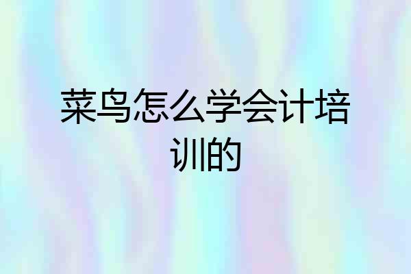 菜鸟怎么学会计培训的