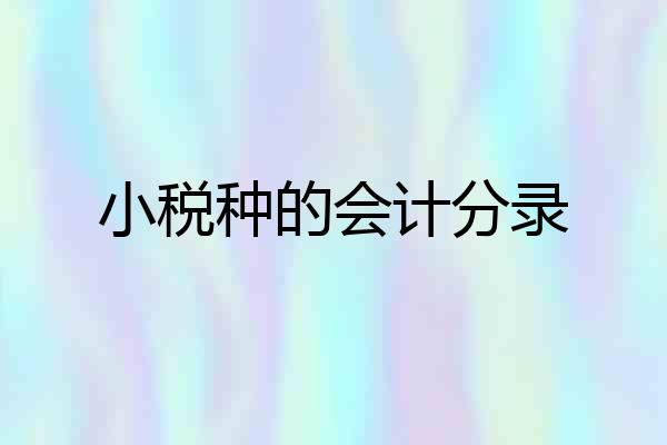 小税种的会计分录