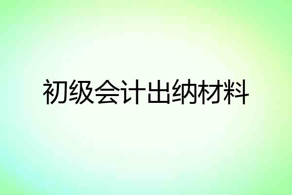 初级会计出纳材料