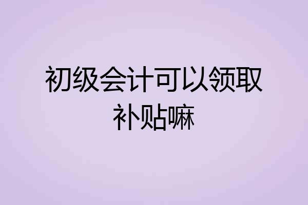 初级会计可以领取补贴嘛
