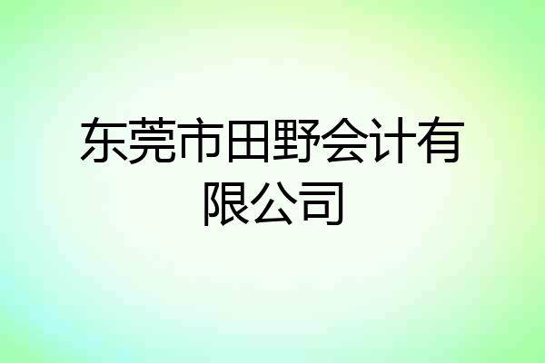 东莞市田野会计有限公司
