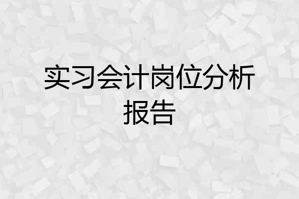 实习会计岗位分析报告