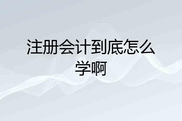 注册会计到底怎么学啊