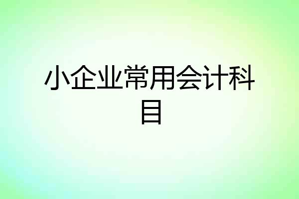 小企业常用会计科目