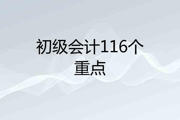 初级会计116个重点