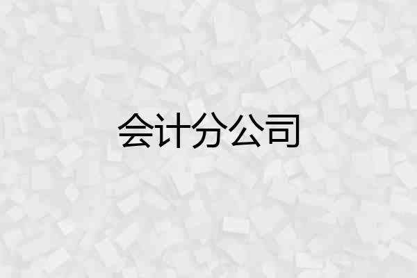会计分公司