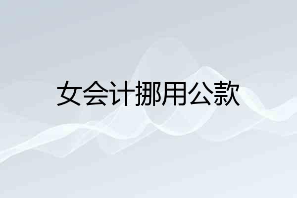 女会计挪用公款