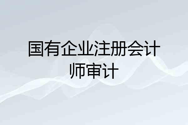 国有企业注册会计师审计