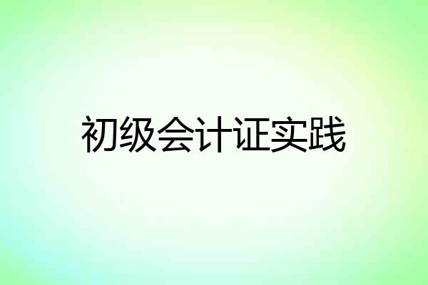 初级会计证实践