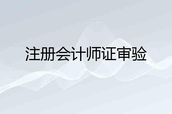 注册会计师证审验