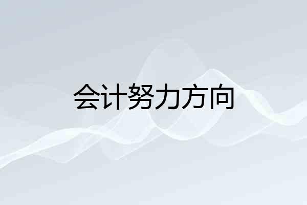 会计努力方向